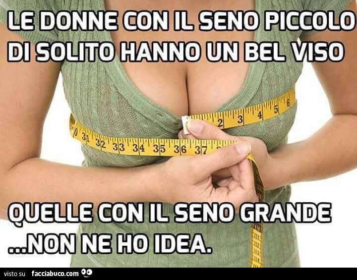 Le donne con il seno piccolo di solito hanno un bel viso. Quelle con il seno grande non ne ho idea