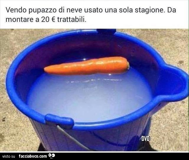Vendo pupazzo di neve usato una sola stagione. Da montare a 20 € trattabili