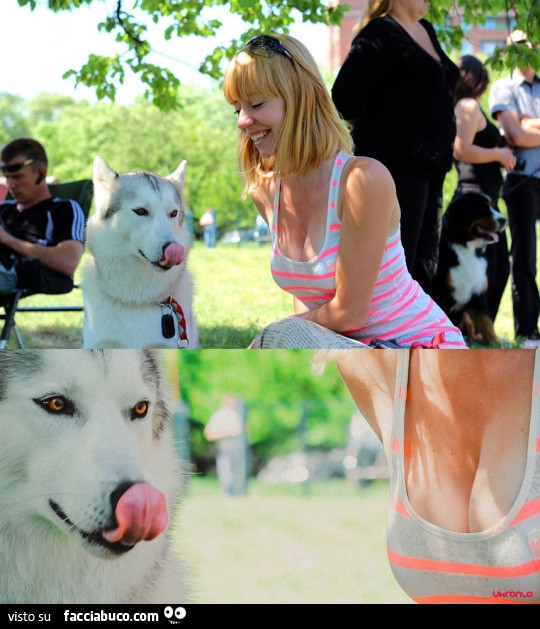 Il cane si lecca i baffi guardandole le tette