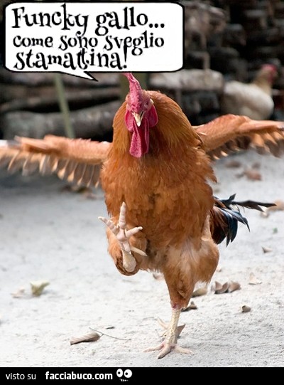 Vaccata