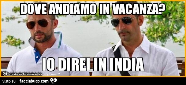 Dove andiamo in vacanza? Io direi in india