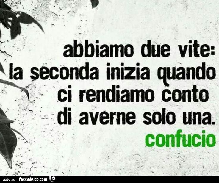Abbiamo due vite: la seconda inizia quando ci rendiamo conto di averne solo una. Confucio