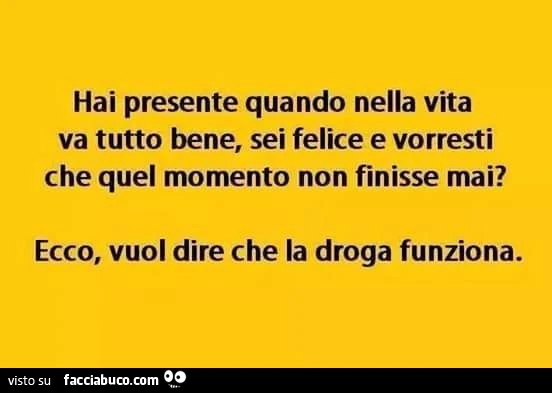 Hai presente quando nella vita va tutto bene, sei felice e vorresti che quel momento non finisse mai? Ecco, vuol dire che la droga funziona