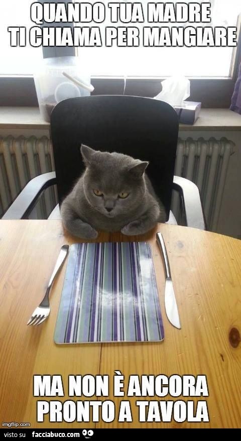 Quando tua madre ti chiama per mangiare ma non è ancora pronto a tavola