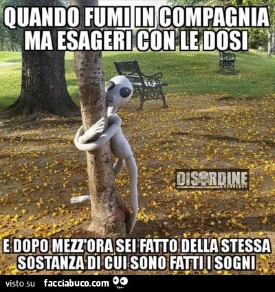 Quando fumi in compagnia ma esageri con le dosi e dopo mezz'ora sei fatto della stessa sostanza di cui sono fatti i sogni