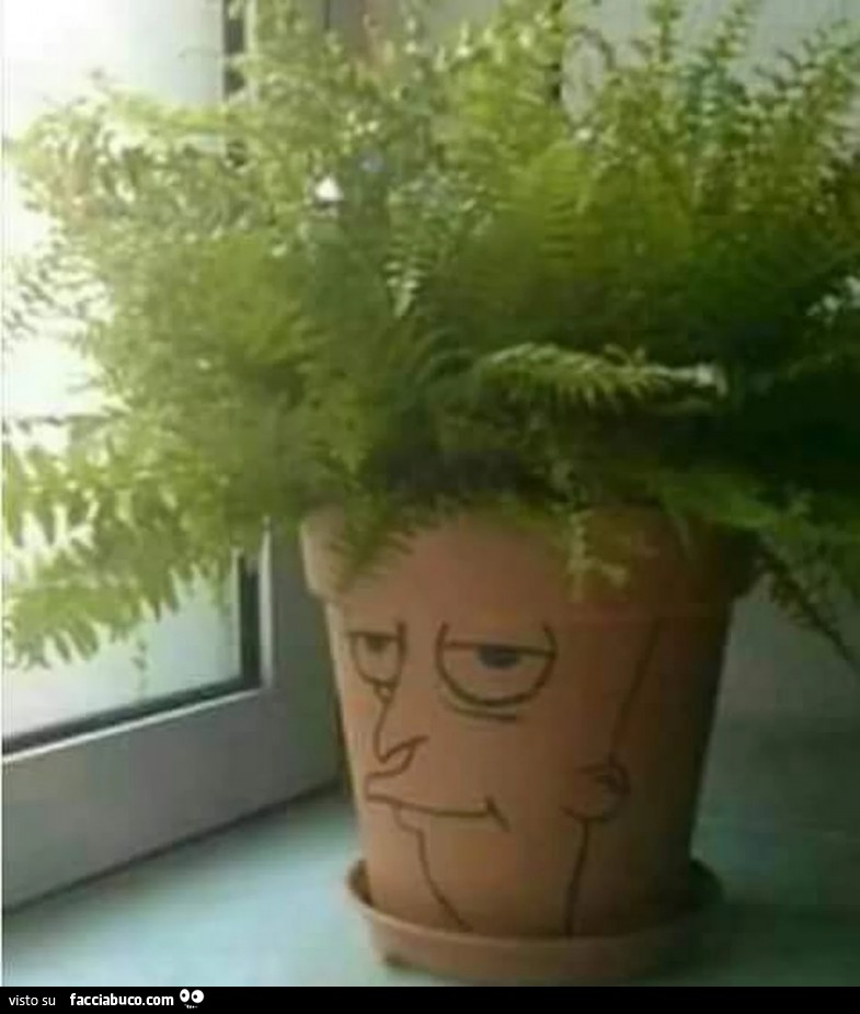 Il vaso con disegnato il volto di Telespalla Bob. E la pianta al posto dei capelli