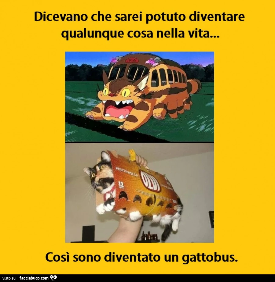 Dicevano che sarei potuto diventare qualunque cosa nella vita&hellip; così sono diventato un gattobus