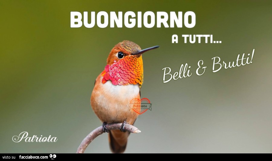 Buongiorno a tutti… belli e brutti