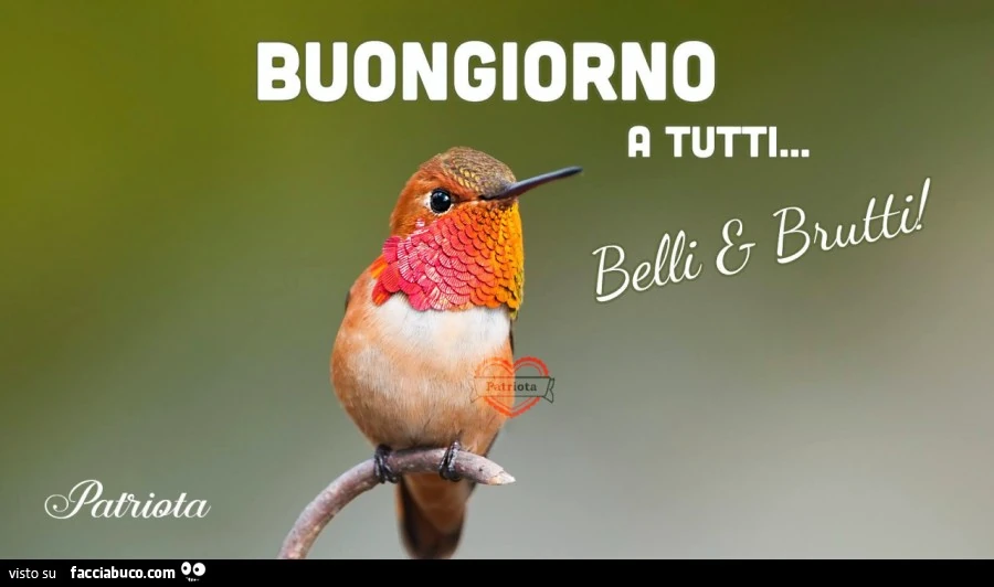 Buongiorno a tutti&hellip; belli e brutti