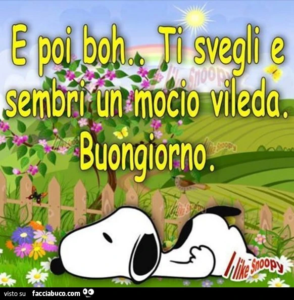 E poi boh, ti svegli e sembri un mocio vileda. Buongiorno