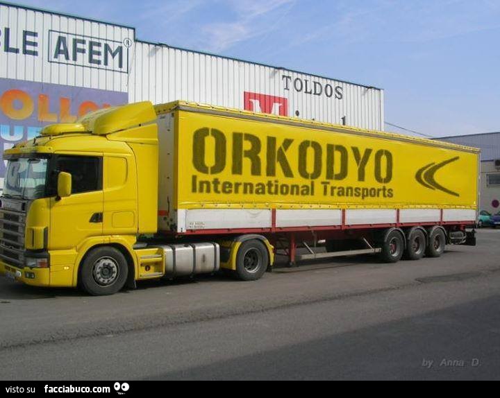 Orkodyo Internation Transports