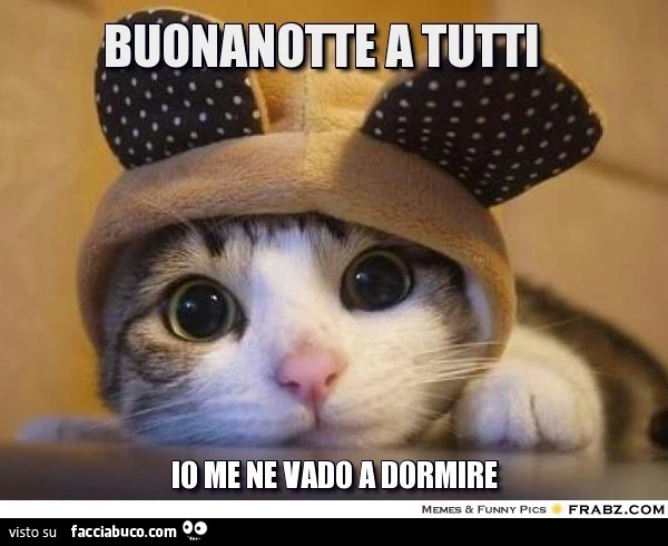 Gattino con cappello da coniglietto. Buonanotte a tutti, io me ne vado a dormire