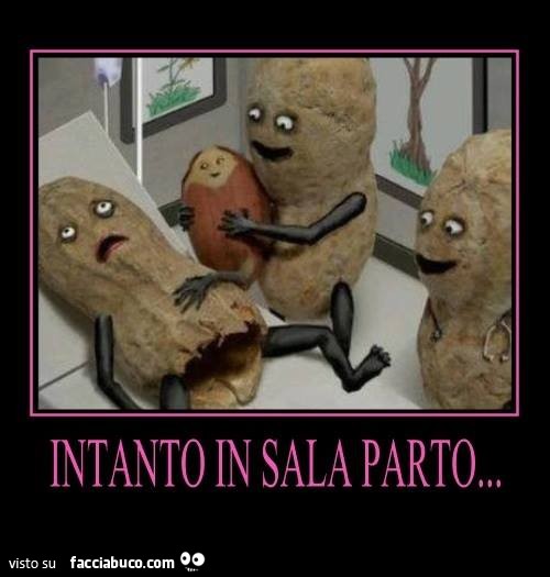 Intanto in sala parto nasce la nocciolina