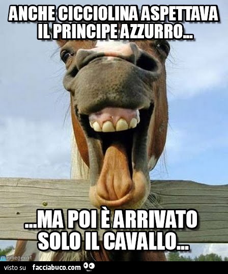 Anche Cicciolina aspettava il principe azzurro, ma poi è arrivato solo il cavallo