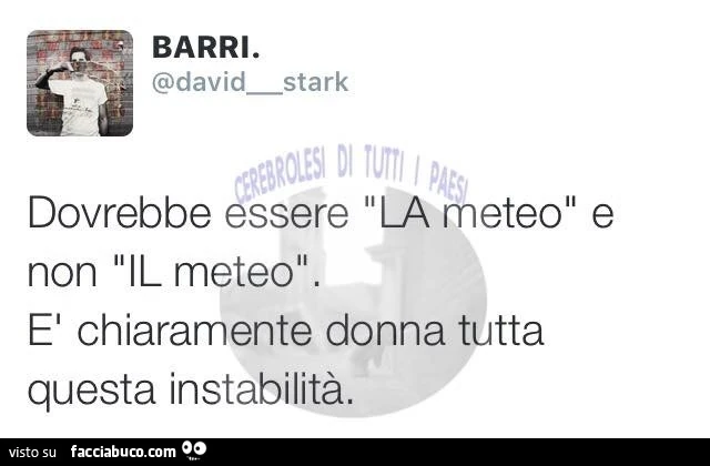 Dovrebbe essere "LA meteo" e non "IL meteo". È Chiaramente donna tutta questa instabilità