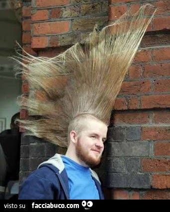 Uomo con acconciatura di capelli assurda. Capelli alti quasi un metro