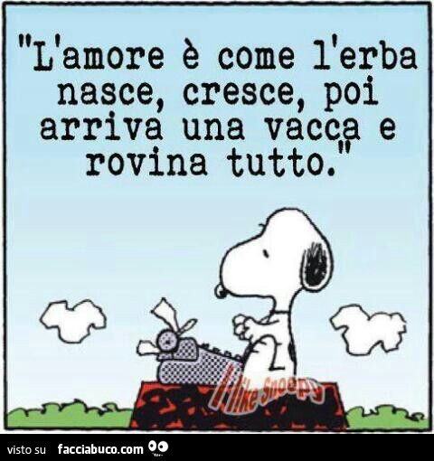 L'amore è come l'erba nasce, cresce, poi arriva una vacca e rovina tutto
