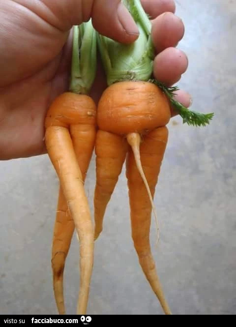 Carote con le gambe e una ha pure il pisello