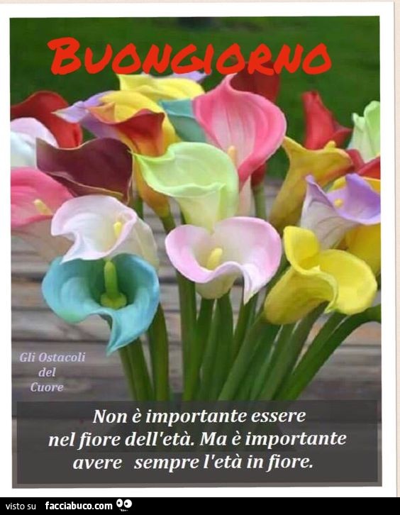 Buongiorno. Non è importante essere nel fiore dell'età. Ma è importante avere sempre l'età in fiore