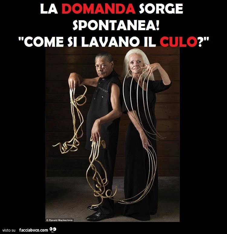 La domanda sorge spontanea, come si lavano il culo?