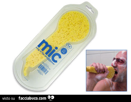 MIC la spugna a forma di microfono