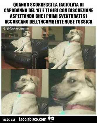 Quando scorreggi la fagiolata di Capodanno del 97 e ti giri con discrezione aspettando che i primi sventurati si accorgano dell'incombete nube tossica