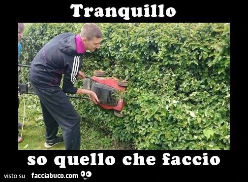 Taglia erba per potare le aiuole. Tranquillo, so quello che faccio