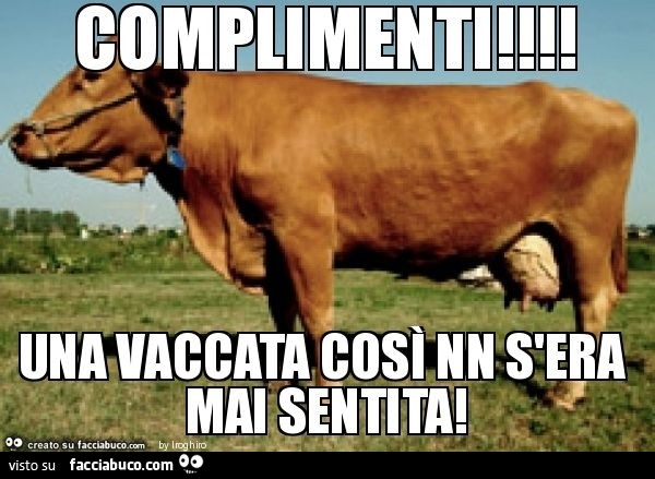Vaccata