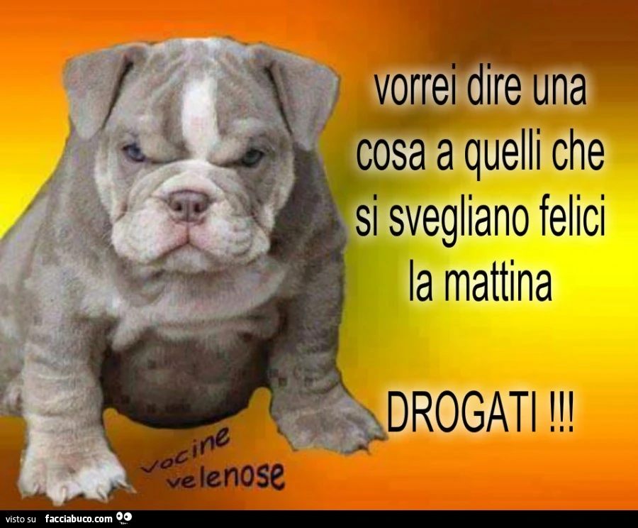 Vorrei dire una cosa a quelli che si svegliano felici la mattina. Drogati
