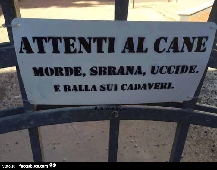 Attenti al cane, morde, sbrana, uccide e balla sui cadaveri