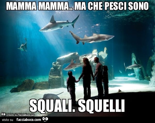 Mamma mamma. Ma che pesci sono squali. Squelli