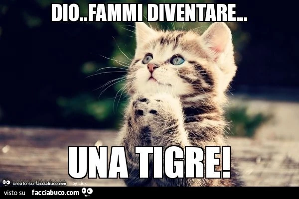 Dio.Fammi diventare&hellip; una tigre