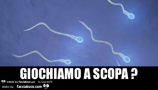 Giochiamo a scopa ?