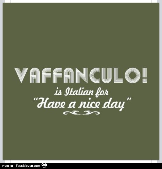 Vaffanculo is Italian for have a nice day