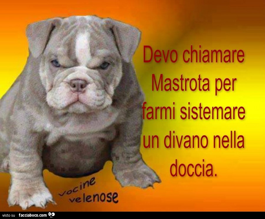 Devo chiamare Mastrota per farmi sistemare un divano nella doccia