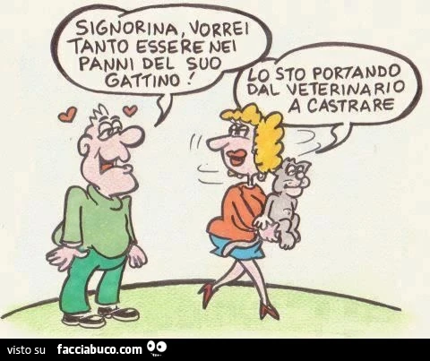 Signorina, vorrei tanto essere nei panni del suo gattino. Lo sto portando dal veterinario a castrare