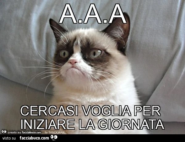 A.A.A cercasi voglia per iniziare la giornata
