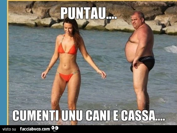 Puntau cumenti uni cani e cassa