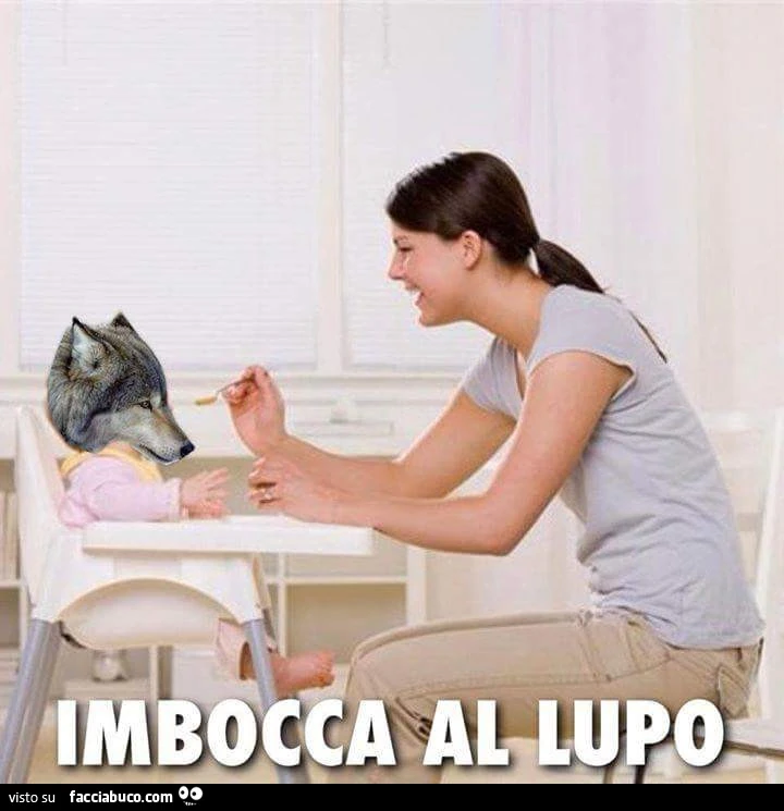 Imbocca al lupo