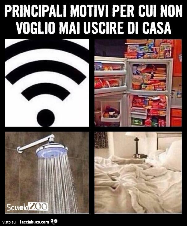 Principali motivi per cui non voglio mai uscire di casa