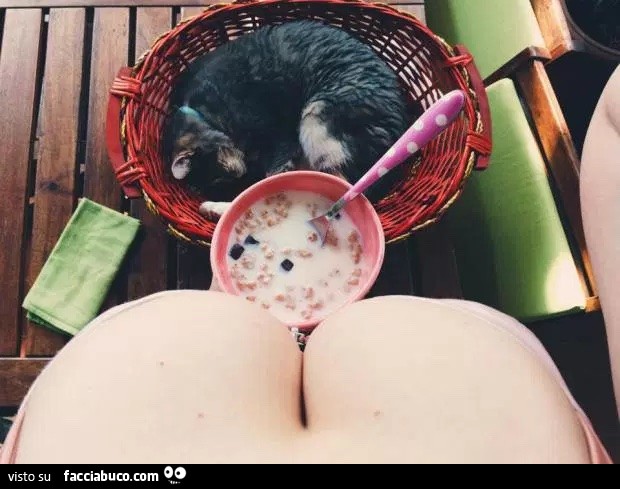 Tettona con latte e cereali vicino al gatto che dorme