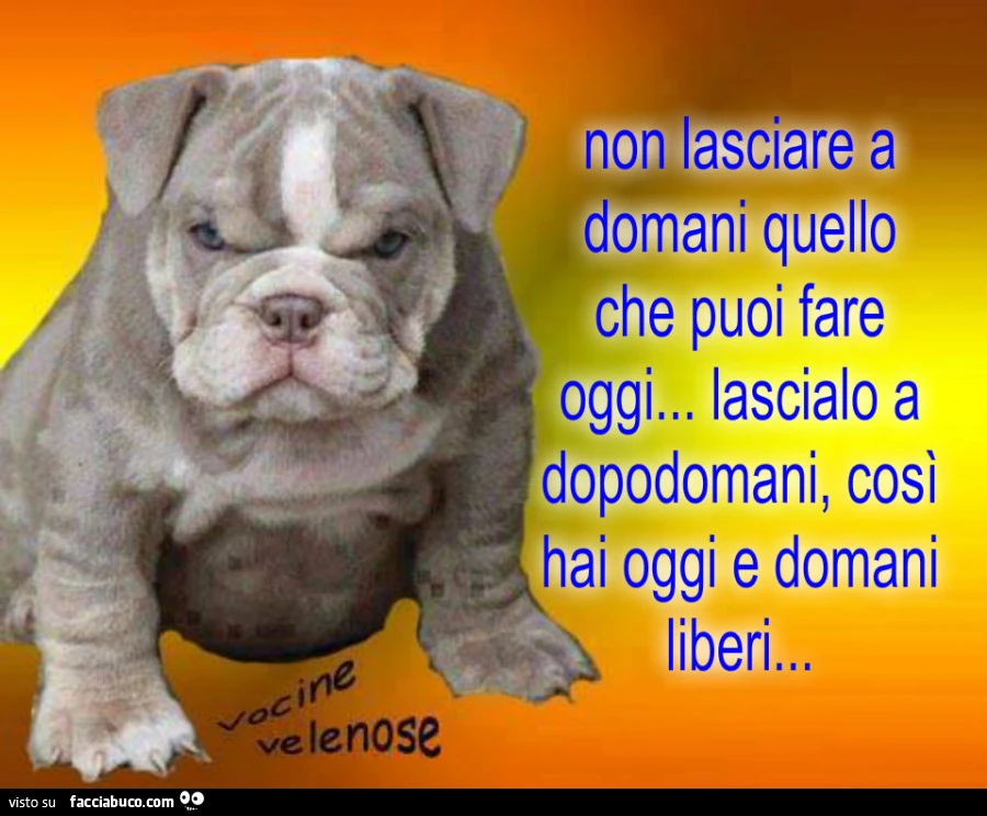 Non lasciare a domani quello che puoi fare oggi. Lascialo a dopodomani, così hai oggi e domani liberi