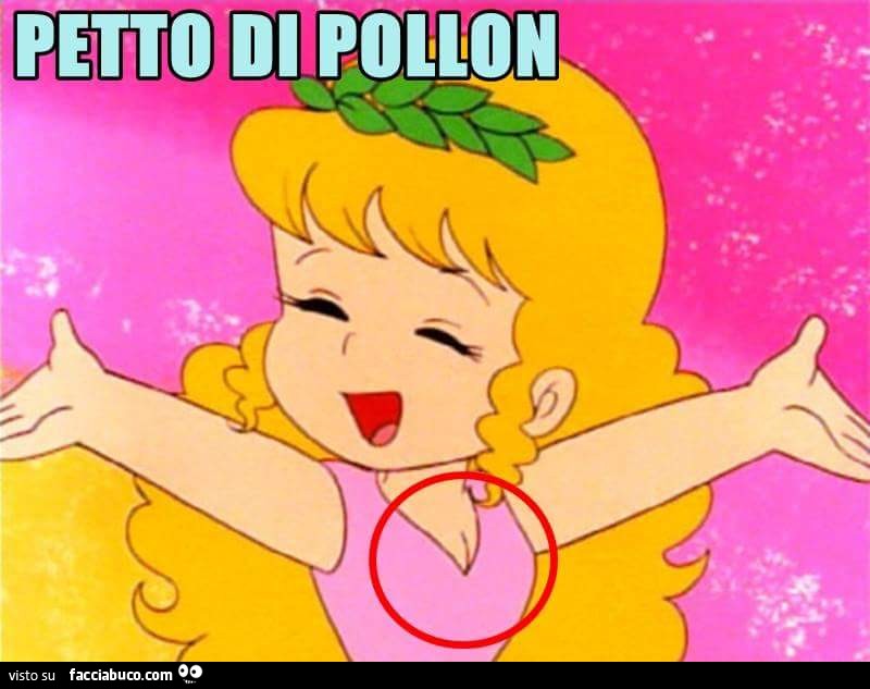 Petto pollon
