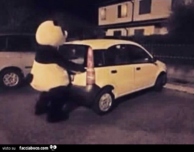 Il panda si incula la panda