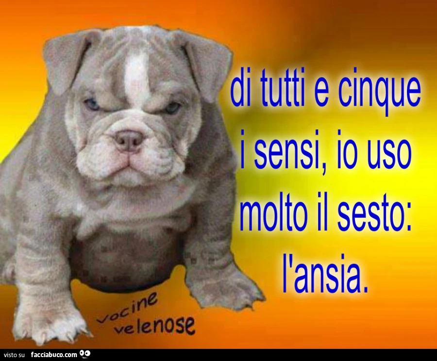 Di tutti e cinque i sensi, io uso molto il sesto: l'ansia