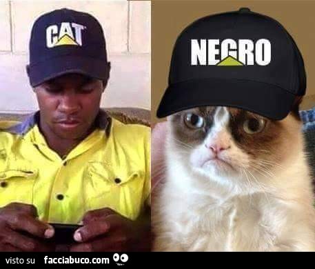 Nero con cappellino Cat. Grumpy Cat con cappellino Negro