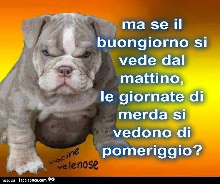 Ma se il buongiorno si vede dal mattino, le giornate di merda si vedono di pomeriggio?