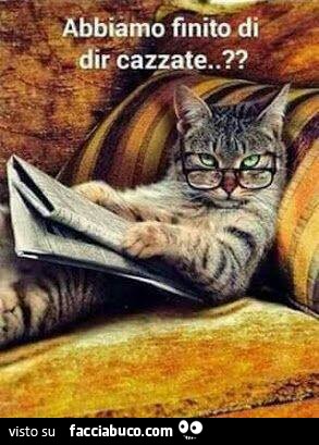 Gatto con gli occhiali che legge il giornale. Abbiamo finito di dir cazzate?