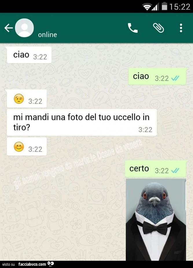 Ciao mi mandi una foto del tuo uccello in tiro? Certo