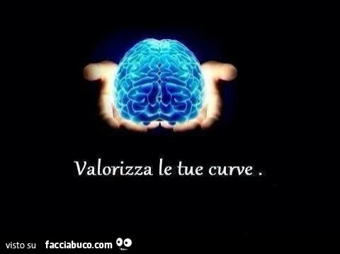 Il cervello valorizza le tue curve